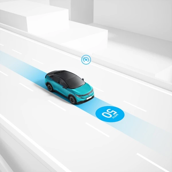 Speed limiter